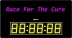 Portable Race clock/timer
